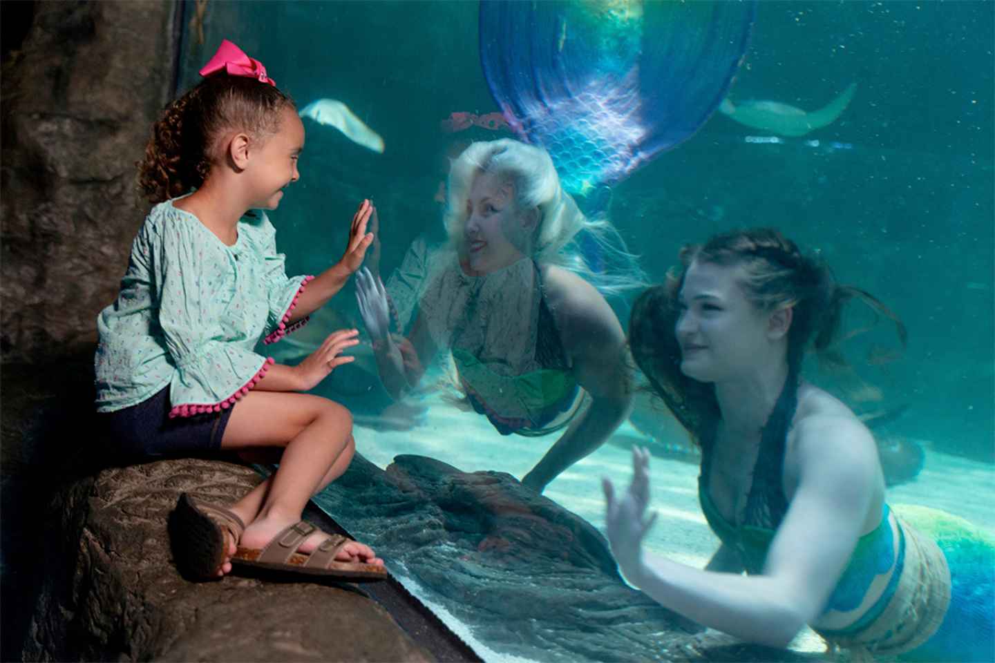Ripley's Aquarium of Myrtle Beach Entry Ticket thumbnail