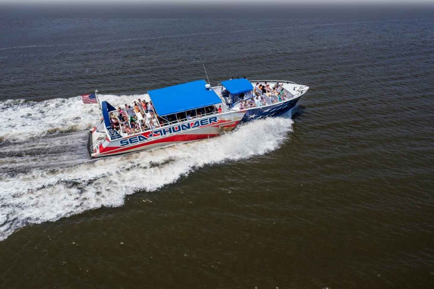 Myrtle Beach: Dolphin Cruise on the Sea Thunder thumbnail